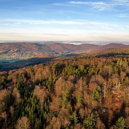 Nr 6a2, Hagbuegerl, Bayr Wald 발드문첸