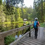Tatil Evi Nr 6a2, Hagbuegerl, Bayr Wald *