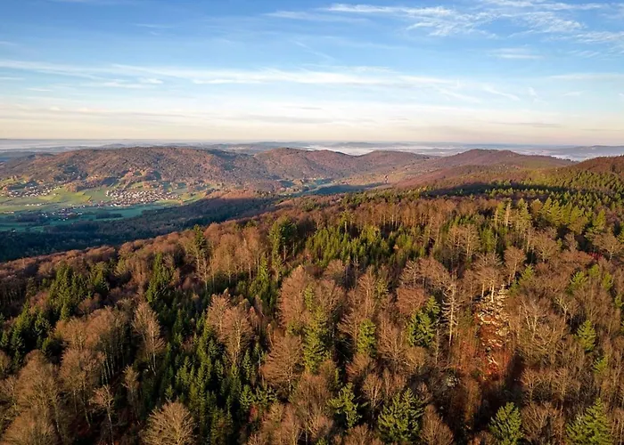 Nr 6a2, Hagbügerl, Bayr Wald Waldmünchen